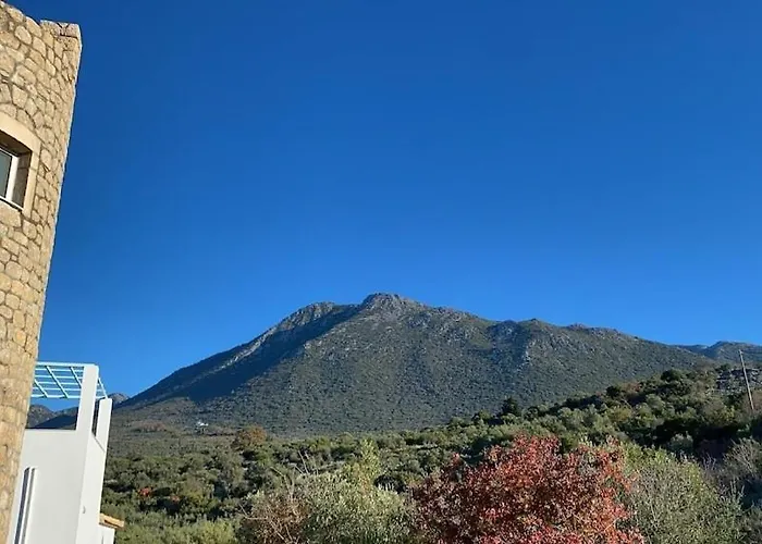 Rapunzel's Tower Mani Willa *